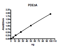 PDE3A, (669-end), His-GST-tags Recombinant – Figure 1 of 2