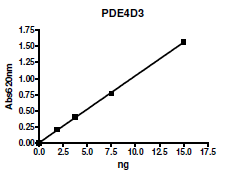 PDE4D3, GST-tag Recombinant – Figure 1 of 2