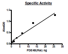 PDE4B (Rat), GST-tag Recombinant – Figure 1 of 2