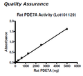 PDE7A (Rat), GST-tag Recombinant – Figure 1 of 2