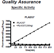 PLA2G7 (Lp-PLA2), His-tag Recombinant – Figure 1 of 2