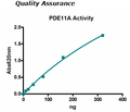 PDE11A4, GST-tag Recombinant – Figure 1 of 4