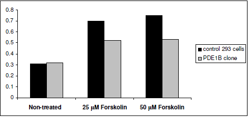 PDE1B-HEK293 Recombinant Cell line – Figure 1 of 1