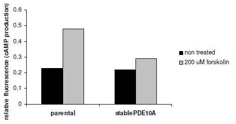 PDE10A-HEK293 Recombinant Cell line – Figure 1 of 2