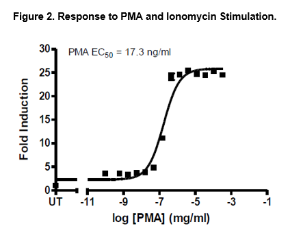 IL-2 Luciferase Reporter Jurkat Cell Line – Figure 1 of 5