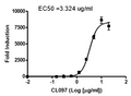 TLR8/NF-κB Reporter - HEK293 Recombinant Cell Line – Figure 1 of 1