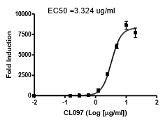 TLR8/NF-κB Reporter - HEK293 Recombinant Cell Line – Figure 1 of 1