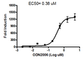 TLR9/NF-κB Reporter - HEK293 Recombinant Cell Line – Figure 1 of 1