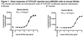 TCF/LEF Reporter - HEK293 Cell Line (Wnt Signaling Pathway) – Figure 1 of 7