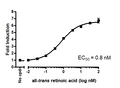 RARα Luciferase Reporter HEK293 Cell Line – Figure 1 of 1