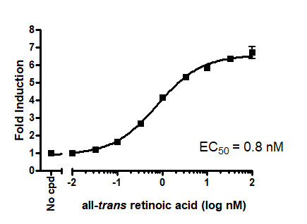 RARα Luciferase Reporter HEK293 Cell Line – Figure 1 of 1