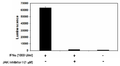 ISRE Reporter-HEK293 Recombinant Cell Line (JAK pathway) – Figure 1 of 8