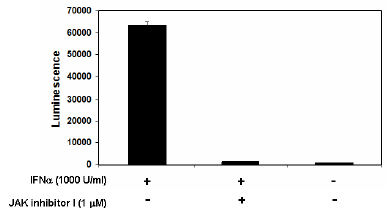 ISRE Reporter-HEK293 Recombinant Cell Line (JAK pathway) – Figure 1 of 8