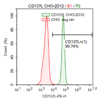CD137L (4-1BBL) CHO-K1 Recombinant Cell Line – Figure 1 of 1