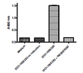 IDO1-HEK293 Recombinant Cell Line (Human) – Figure 1 of 2