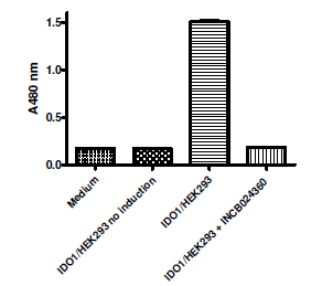 IDO1-HEK293 Recombinant Cell Line (Human) – Figure 1 of 2