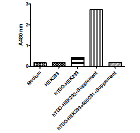 TDO-HEK293 Recombinant Cell line – Figure 1 of 2