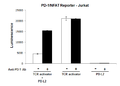 PD-1 / NFAT Reporter - Jurkat Recombinant Cell Line – Figure 1 of 5