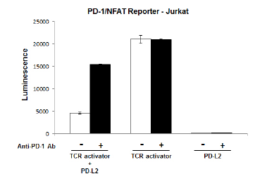 PD-1 / NFAT Reporter - Jurkat Recombinant Cell Line – Figure 1 of 5