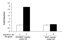 PD-L1 / TCR Activator - CHO Recombinant Cell Line – Figure 1 of 4