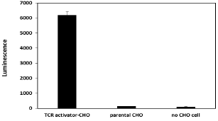 TCR Activator CHO Recombinant Cell line – Figure 1 of 2