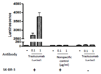 ADCC Bioassay Effector Cell F Variant (Low Affinity)/ NFAT Luciferase Reporter Jurkat Cell Line – Figure 1 of 4