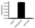 GITRL CHO-K1 Recombinant Cell Line – Figure 1 of 2