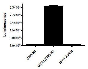 GITRL CHO-K1 Recombinant Cell Line – Figure 1 of 2