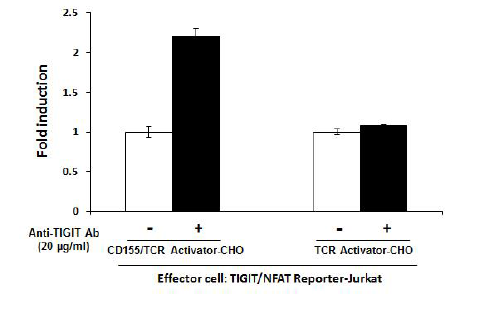 CD155 / TCR Activator - CHO Recombinant Cell line – Figure 1 of 3