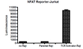 TCR Activator Raji Cell Line – Figure 1 of 1