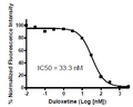 NET - CHOK1 Recombinant Cell Line – Figure 1 of 2