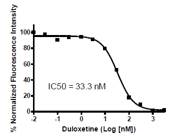 NET - CHOK1 Recombinant Cell Line – Figure 1 of 2