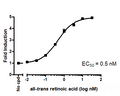 RARβ Luciferase Reporter HEK293 Cell Line – Figure 1 of 1
