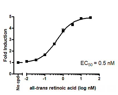 RARβ Luciferase Reporter HEK293 Cell Line – Figure 1 of 1