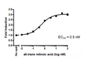 RARγ Luciferase Reporter HEK293 Cell Line – Figure 1 of 1