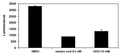 Hippo Pathway/TEAD Luciferase Reporter MCF7 Cell Line – Figure 1 of 4
