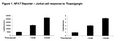 NFAT Luciferase Reporter Jurkat Cell Line – Figure 1 of 6