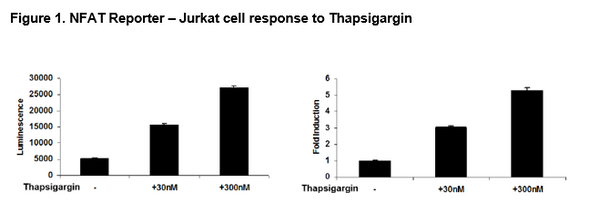 NFAT Luciferase Reporter Jurkat Cell Line – Figure 1 of 6
