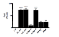 NF-κB Reporter (Luc) - CHO-K1 Recombinant Cell Line – Figure 1 of 2