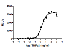 NF-κB Luciferase Reporter A549 Cell Line – Figure 1 of 4