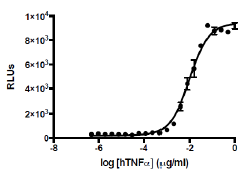 CD40/NF-κB Luciferase Reporter HEK293 Cell Line – Figure 1 of 8