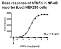 NF-κB Reporter (Luc) - HEK293 Recombinant Cell line – Figure 1 of 5