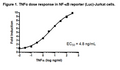NF-κB Luciferase Reporter Jurkat Cell Line – Figure 1 of 2