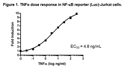 NF-κB Luciferase Reporter Jurkat Cell Line – Figure 1 of 2