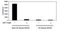 Notch1/CSL Luciferase Reporter HEK293 Cell Line – Figure 1 of 2