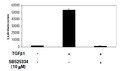 TGFβ/Activin A/Myostatin-Responsive Luciferase Reporter HEK293 Cell Line – Figure 1 of 3