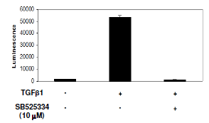 TGFβ/Activin A/Myostatin-Responsive Luciferase Reporter HEK293 Cell Line – Figure 1 of 3