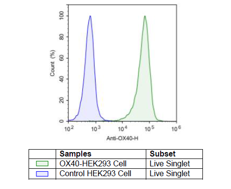 OX40 - HEK293 Recombinant Cell Line – Figure 1 of 1