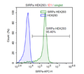 SIRP-α / HEK293 Recombinant Cell Line – Figure 1 of 1