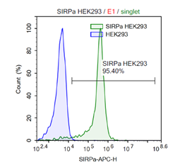 SIRP-α / HEK293 Recombinant Cell Line – Figure 1 of 1